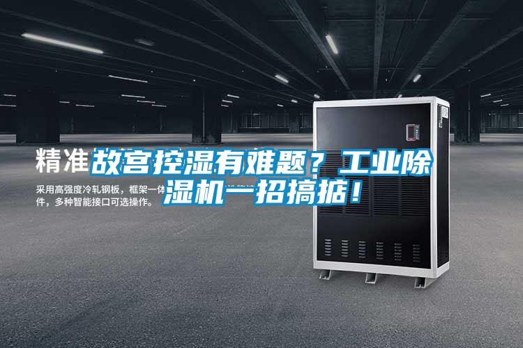 故宮控濕有難題？工業(yè)除濕機(jī)一招搞掂！