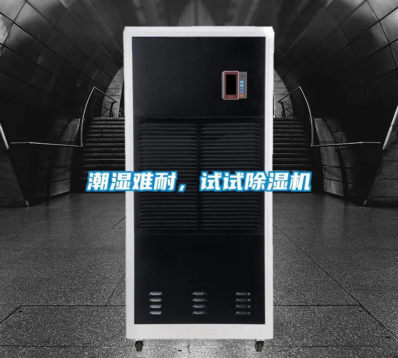 潮濕難耐，試試除濕機