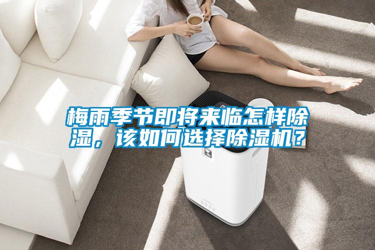 梅雨季節即將來臨怎樣除濕，該如何選擇除濕機？