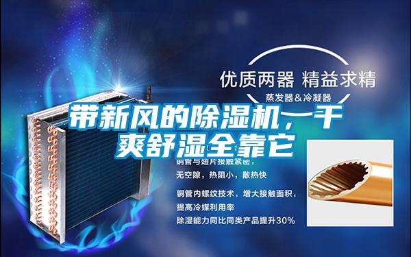 帶新風的除濕機，干爽舒濕全靠它