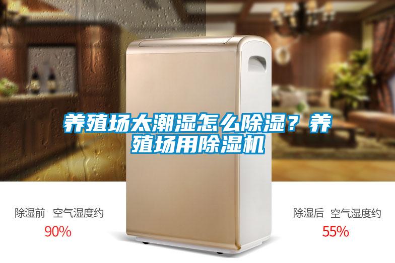 養(yǎng)殖場太潮濕怎么除濕?養(yǎng)殖場用除濕機
