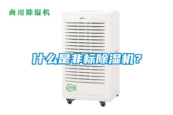 什么是非標除濕機?