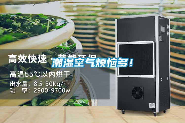 潮濕空氣煩惱多！