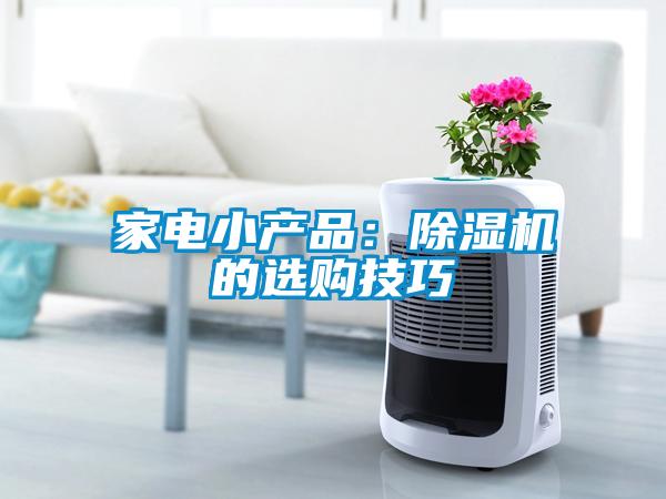 家電小產(chǎn)品:除濕機的選購技巧