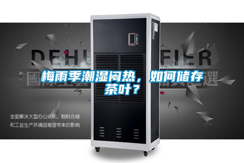梅雨季潮濕悶熱，如何儲存茶葉？