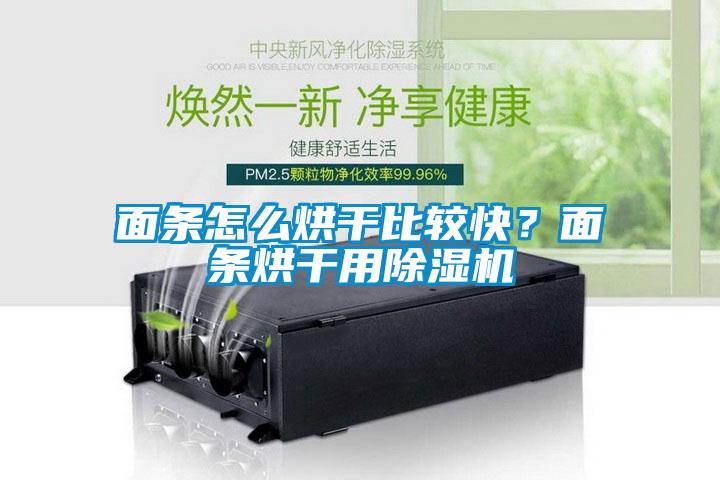 面條怎么烘干比較快?面條烘干用除濕機(jī)