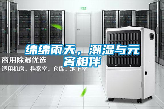 綿綿雨天,潮濕與元宵相伴