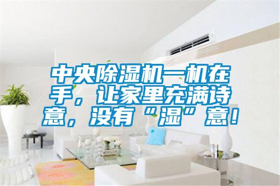 中央除濕機(jī)一機(jī)在手，讓家里充滿詩意，沒有“濕”意！