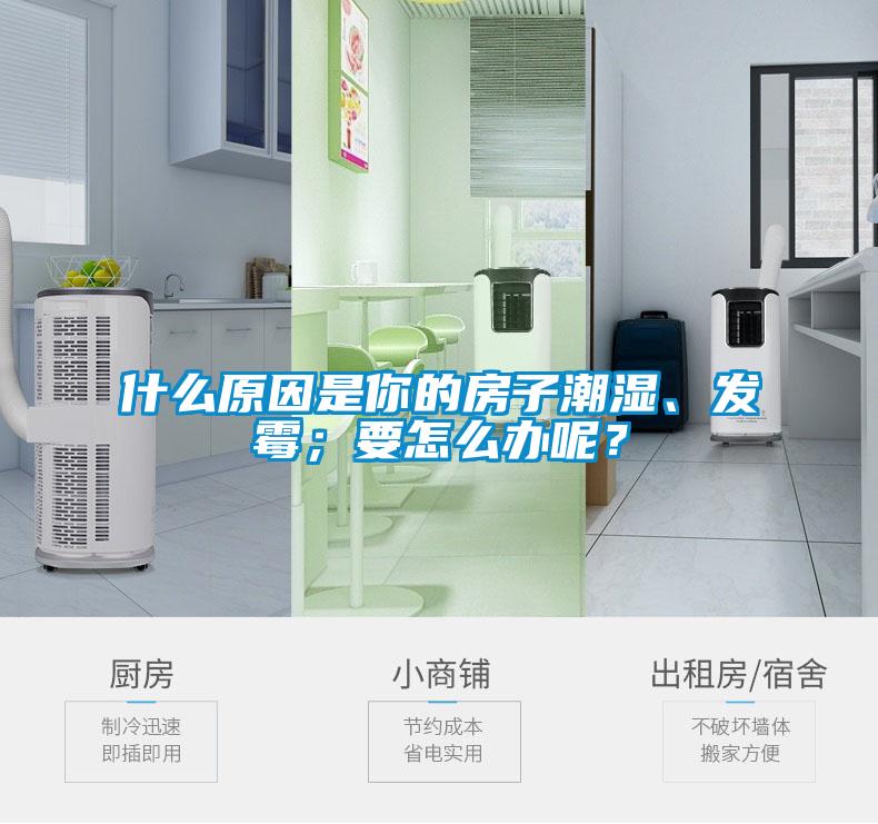 什么原因是你的房子潮濕、發霉；要怎么辦呢？