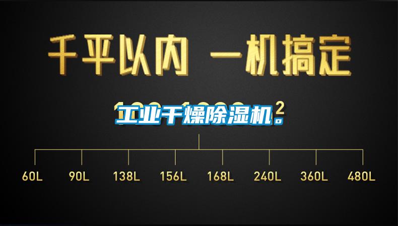 工業(yè)干燥除濕機(jī)。