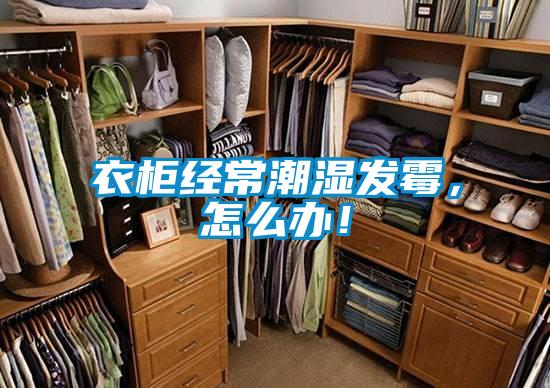 衣柜經常潮濕發霉,怎么辦!