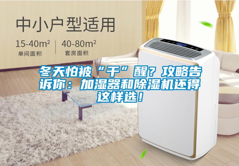 冬天怕被“干”醒？攻略告訴你：加濕器和除濕機(jī)還得這樣選！