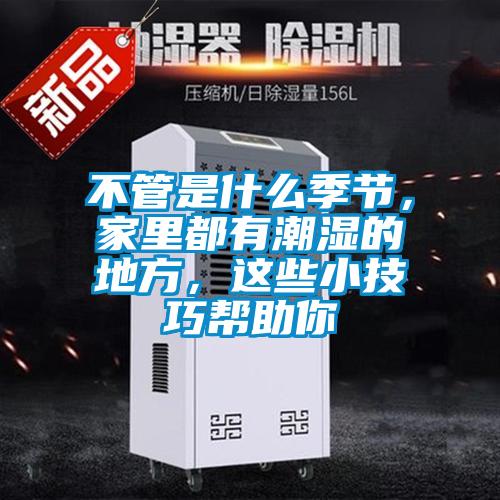 不管是什么季節(jié)，家里都有潮濕的地方，這些小技巧幫助你