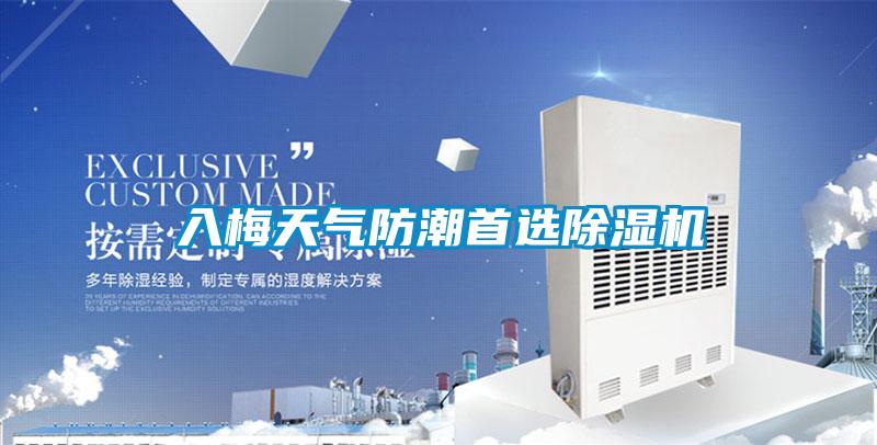 入梅天氣防潮首選除濕機