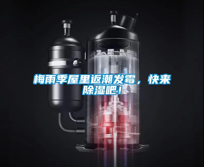 梅雨季屋里返潮發(fā)霉，快來(lái)除濕吧！