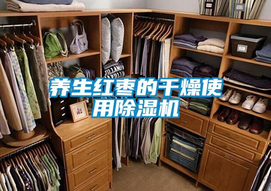 養生紅棗的干燥使用除濕機