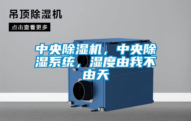 中央除濕機,中央除濕系統,濕度由我不由天