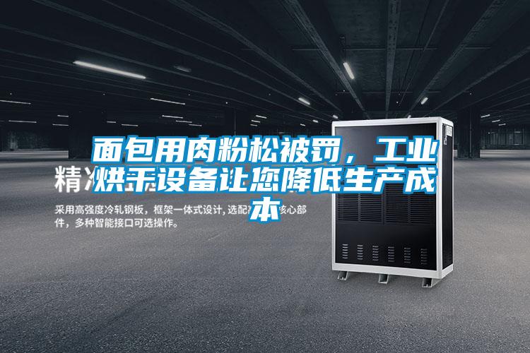 面包用肉粉松被罰,工業烘干設備讓您降低生產成本