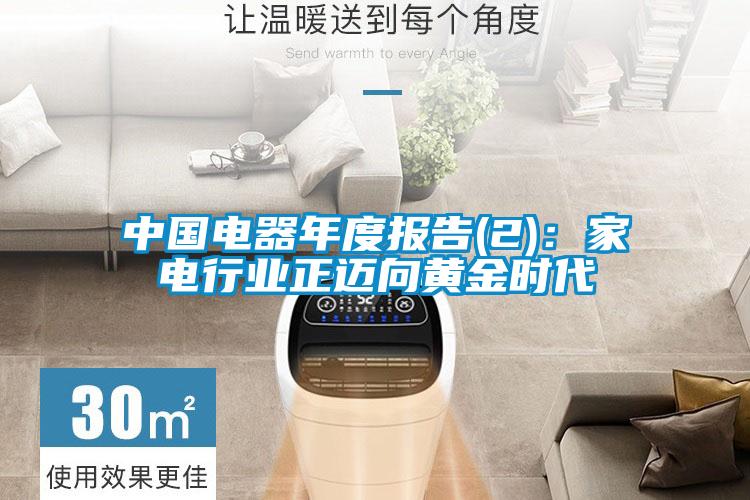 中國電器年度報告(2)：家電行業正邁向黃金時代