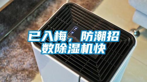 已入梅，防潮招數(shù)除濕機快