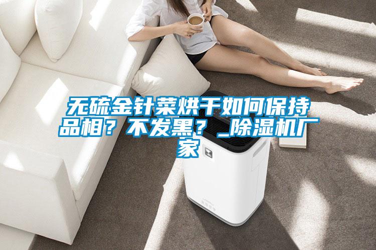 無硫金針菜烘干如何保持品相？不發(fā)黑？_除濕機(jī)廠家