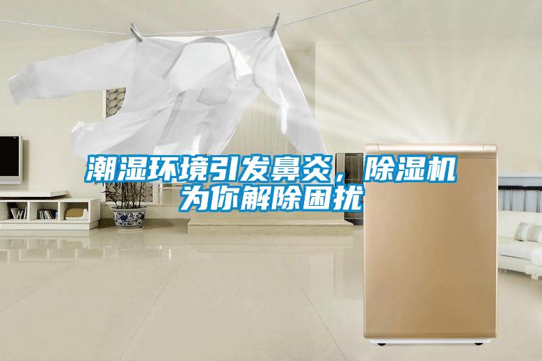 潮濕環(huán)境引發(fā)鼻炎，除濕機為你解除困擾