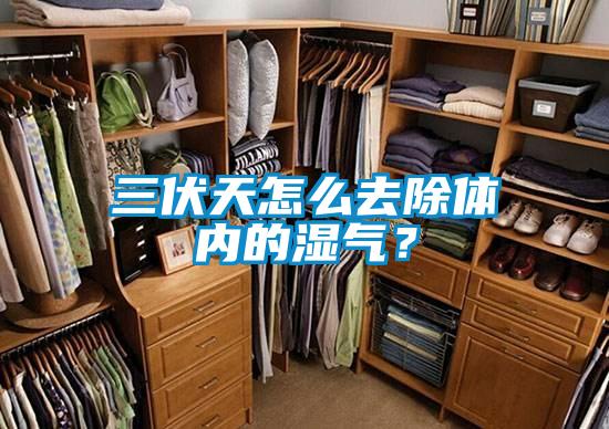 三伏天怎么去除體內(nèi)的濕氣?