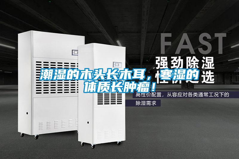 潮濕的木頭長木耳,寒濕的體質(zhì)長腫瘤!