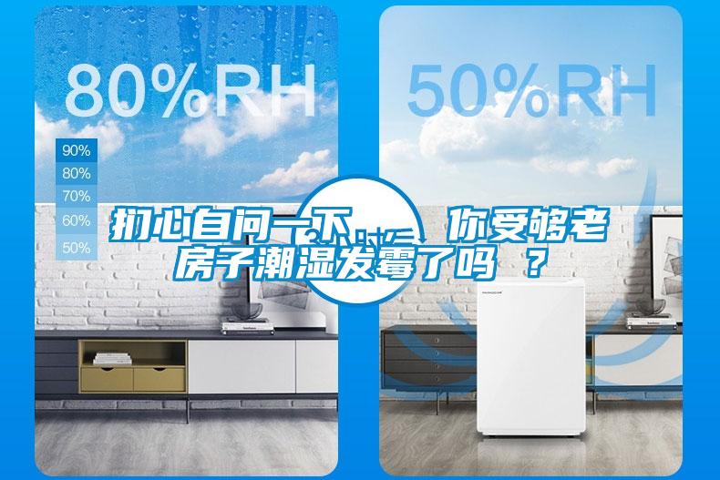 捫心自問一下 ， 你受夠老房子潮濕發霉了嗎 ？