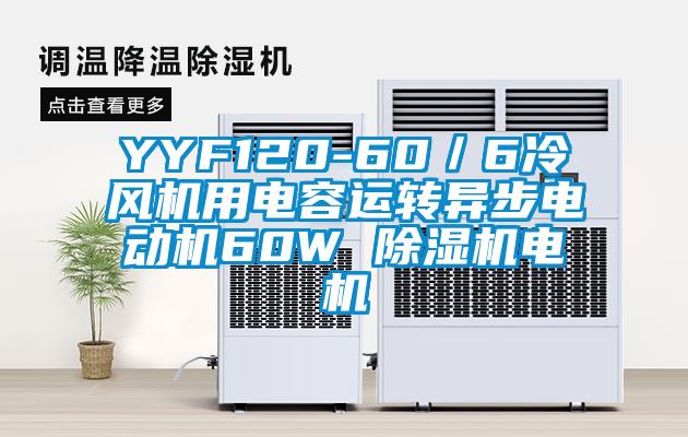 YYF120-60／6冷風機用電容運轉(zhuǎn)異步電動機60W 除濕機電機