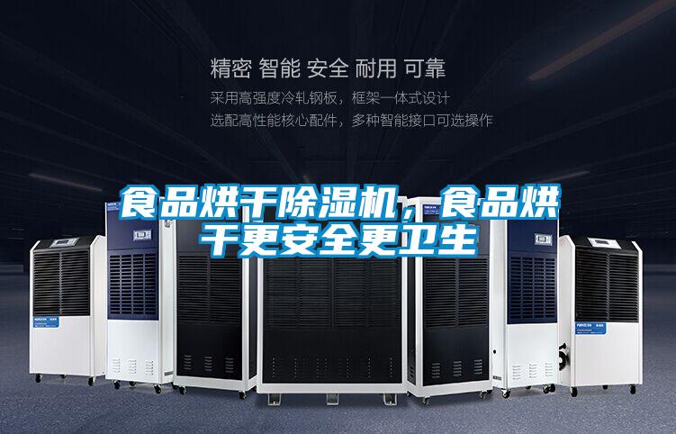 食品烘干除濕機,食品烘干更安全更衛(wèi)生