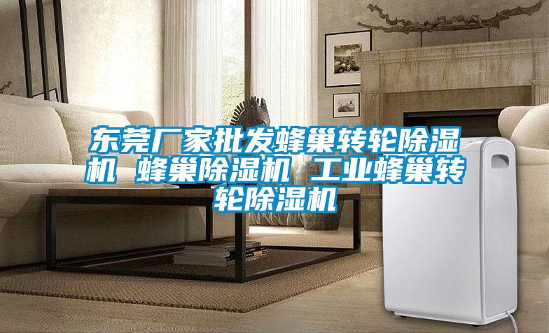 東莞廠家批發(fā)蜂巢轉輪除濕機 蜂巢除濕機 工業(yè)蜂巢轉輪除濕機