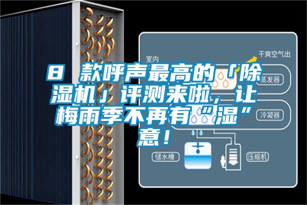 8 款呼聲最高的「除濕機」評測來啦，讓梅雨季不再有“濕”意！