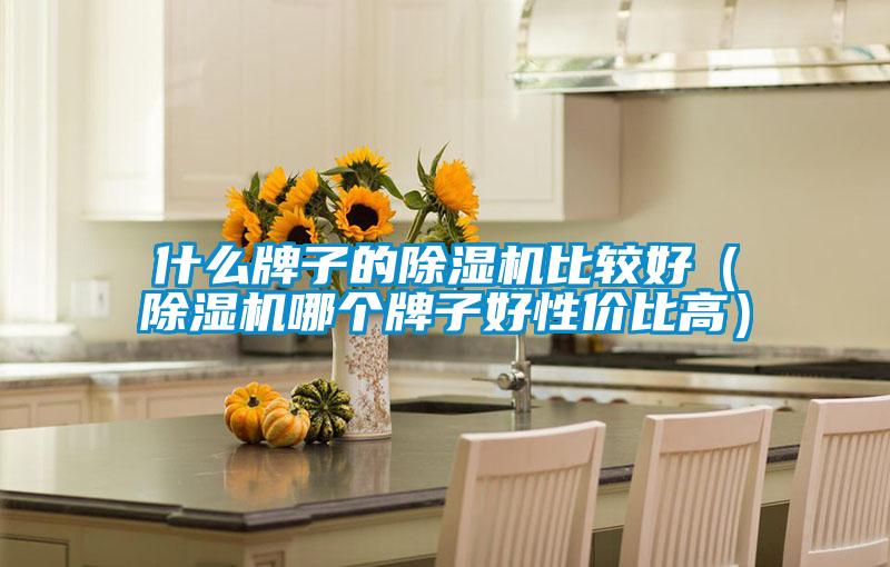 什么牌子的除濕機比較好(除濕機哪個牌子好性價比高)