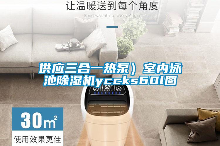 供應三合一熱泵)室內泳池除濕機yccks60l圖