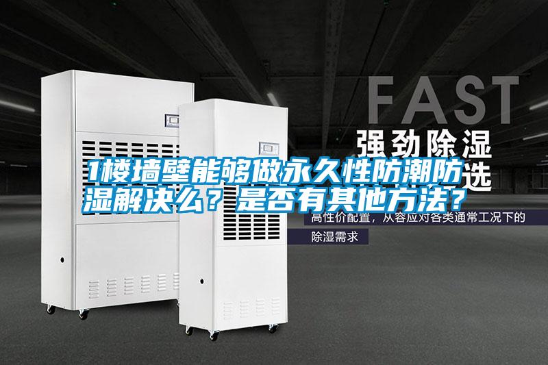 1樓墻壁能夠做永久性防潮防濕解決么？是否有其他方法？