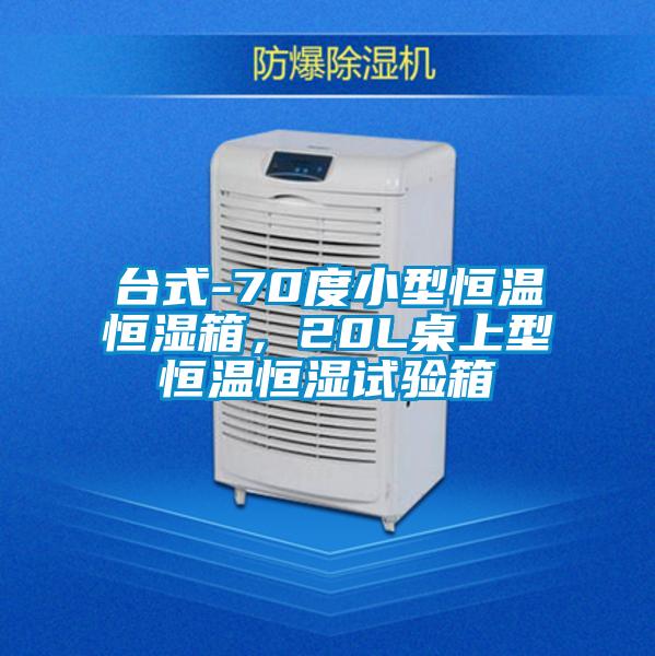 臺式-70度小型恒溫恒濕箱,20L桌上型恒溫恒濕試驗箱