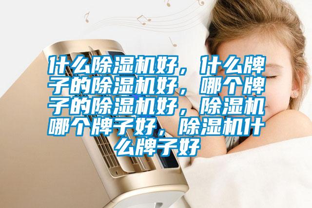 什么除濕機好，什么牌子的除濕機好，哪個牌子的除濕機好，除濕機哪個牌子好，除濕機什么牌子好