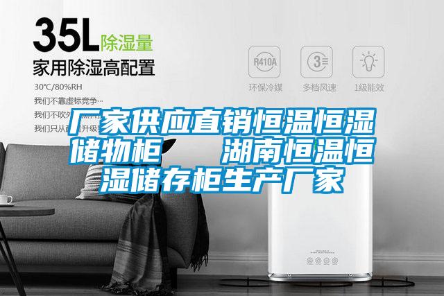 廠家供應直銷恒溫恒濕儲物柜 湖南恒溫恒濕儲存柜生產廠家