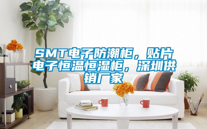 SMT電子防潮柜，貼片電子恒溫恒濕柜，深圳供銷廠家