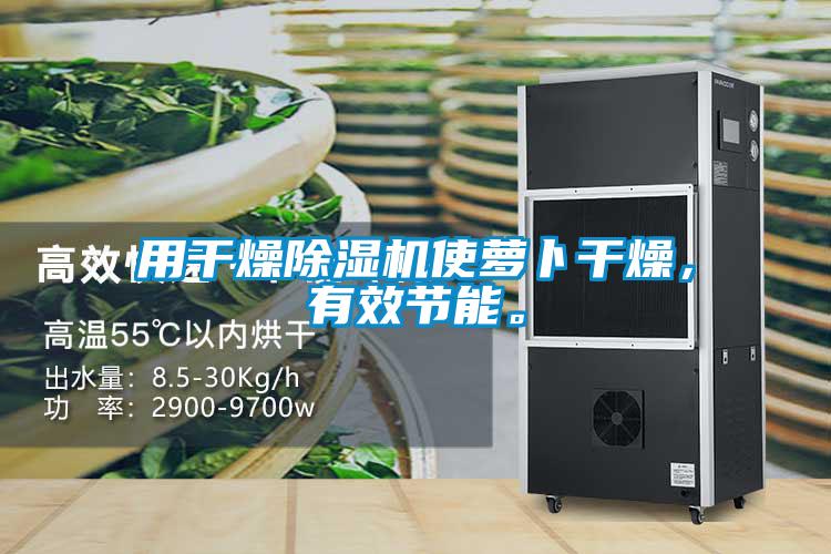 用干燥除濕機使蘿卜干燥，有效節(jié)能。