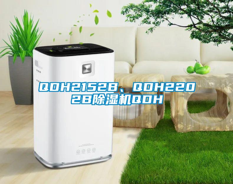 QDH2152B、QDH2202B除濕機(jī)QDH