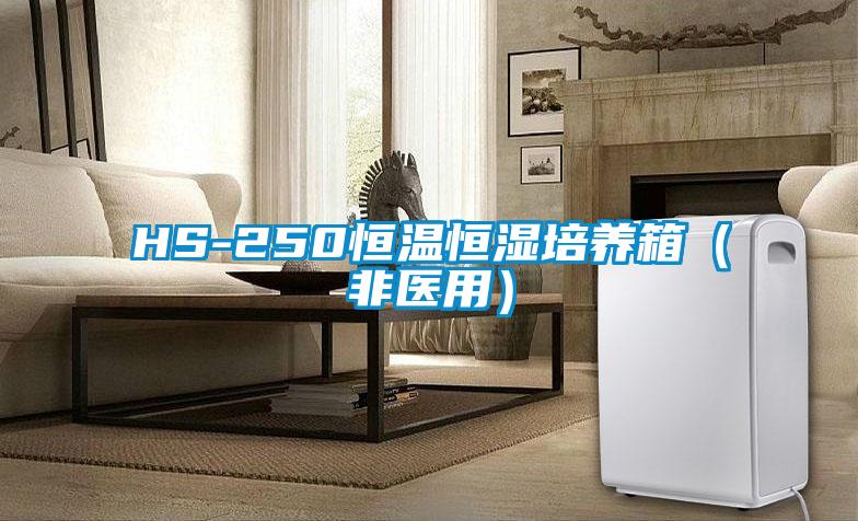 HS-250恒溫恒濕培養(yǎng)箱(非醫(yī)用)