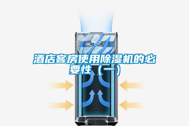 酒店客房使用除濕機的必要性(一)