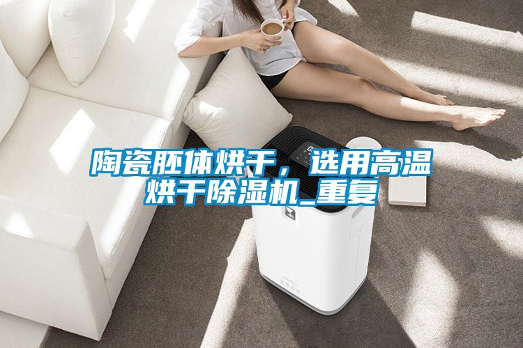 陶瓷胚體烘干，選用高溫烘干除濕機_重復(fù)