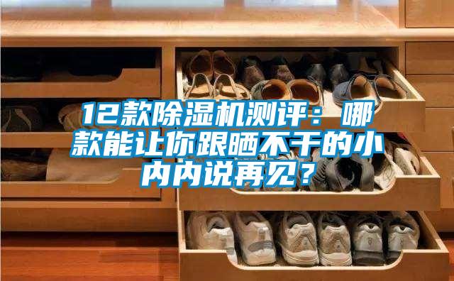 12款除濕機(jī)測評：哪款能讓你跟曬不干的小內(nèi)內(nèi)說再見？