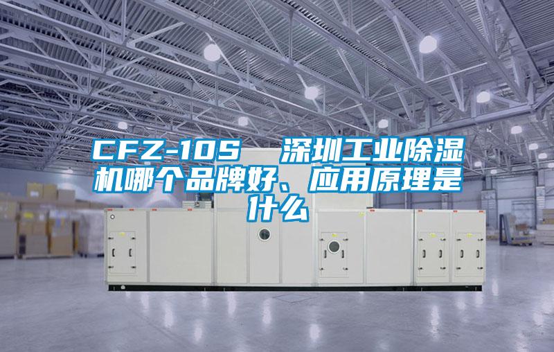CFZ-10S 深圳工業除濕機哪個品牌好、應用原理是什么