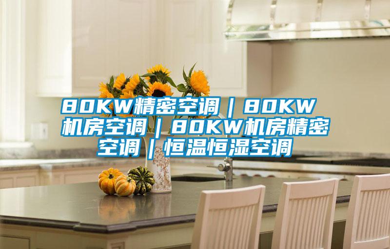 80KW精密空調｜80KW 機房空調｜80KW機房精密空調｜恒溫恒濕空調