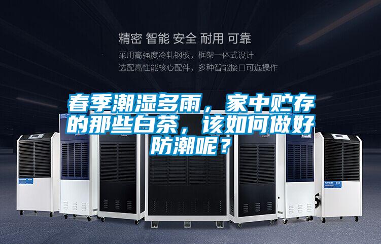 春季潮濕多雨，家中貯存的那些白茶，該如何做好防潮呢？