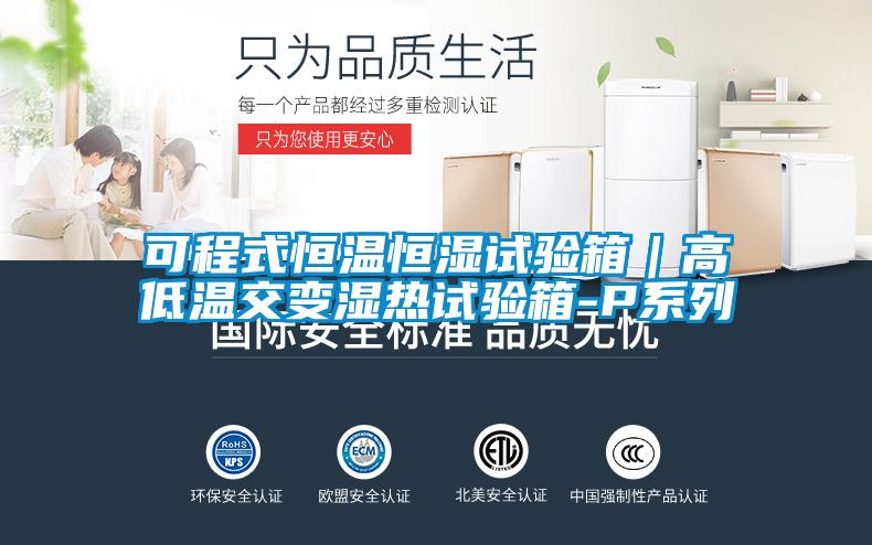 可程式恒溫恒濕試驗箱|高低溫交變濕熱試驗箱-P系列